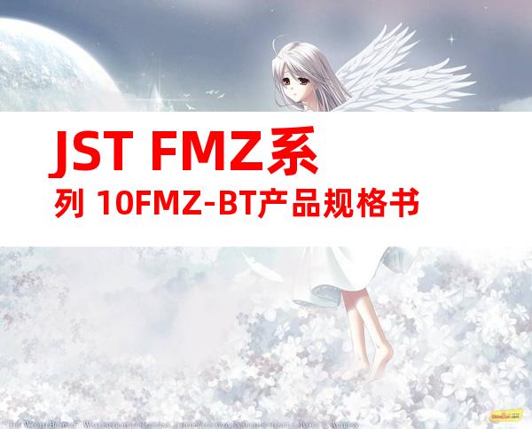 JST FMZ系列 10FMZ-BT产品规格书